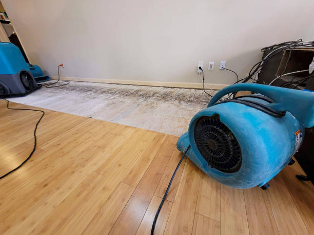 Professional Structural Drying technician working in Knightstown, IN